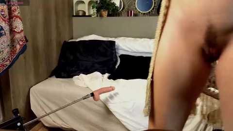 ayreenmoore @ stripchat on 20250820