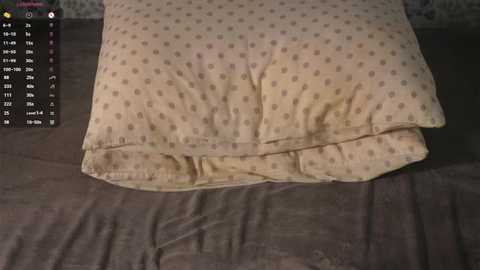 idajonesy @ stripchat on 20250820