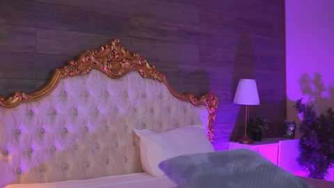 juicy_jessye @ stripchat on 20250820