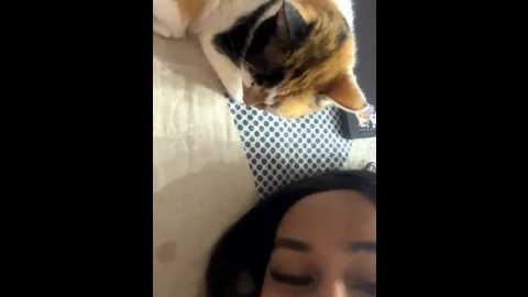 rakel37 @ stripchat on 20250820