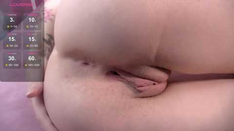 monasteel