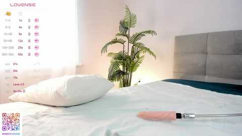 sweetlilylove @ stripchat on 20250821