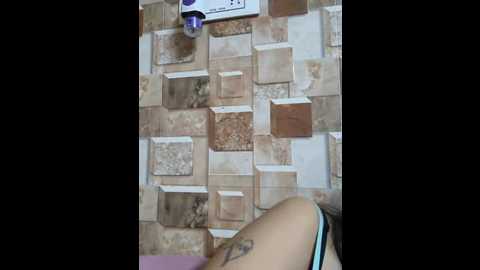 queen_aditi @ stripchat on 20250822