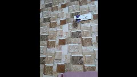 queen_aditi @ stripchat on 20250822