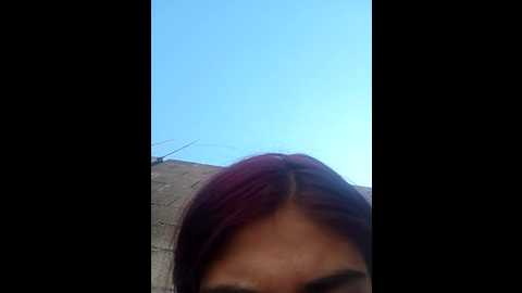 yenicitir @ stripchat on 20250822