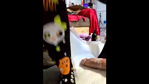 zasmin3 @ stripchat on 20250822