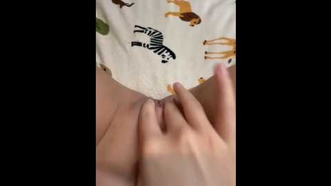 anonimgirl18old @ stripchat on 20250823