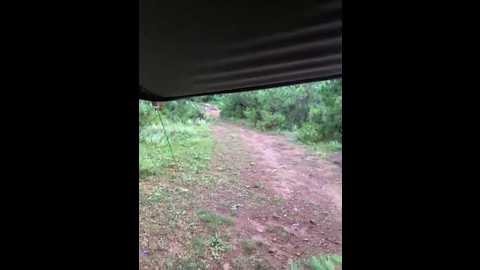 meishaofu @ stripchat on 20250823