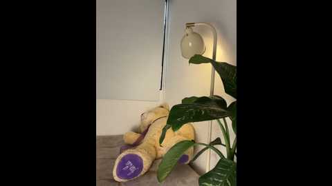nicoleleinn @ stripchat on 20250823