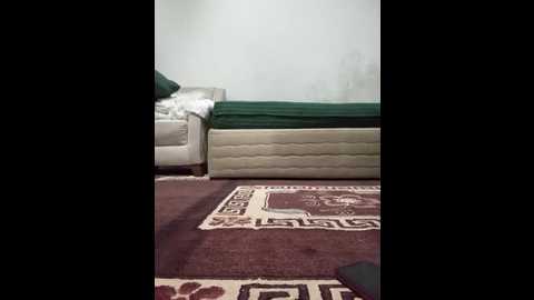 yenicitir @ stripchat on 20250823