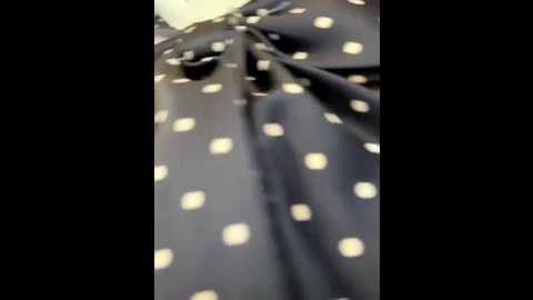 adora188 @ stripchat on 20250824