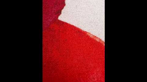 anonimgirl18old @ stripchat on 20250824