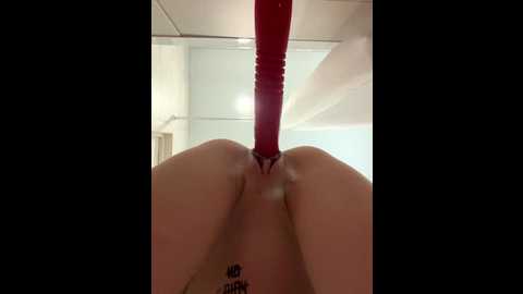 katetown @ stripchat on 20250824