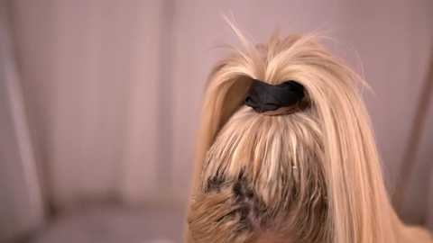 nickybenz @ stripchat on 20250824