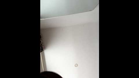 qi9i @ stripchat on 20250825