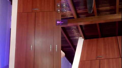 adara_le