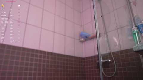 millimouse @ stripchat on 20250826