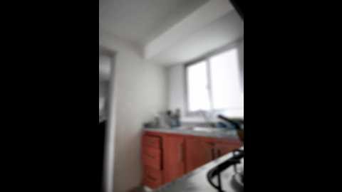 horny_roomiess