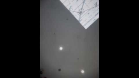 pinkstar_