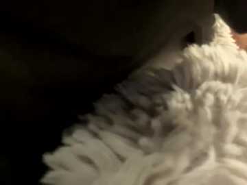 __bonnie_and_clyde_ @ stripchat on 20250830