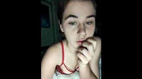 torytayler