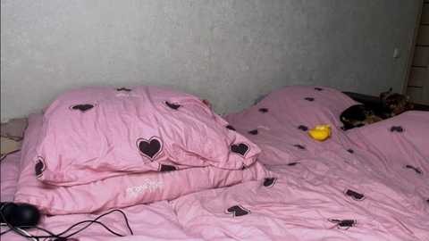 hopefuture @ stripchat on 20250901