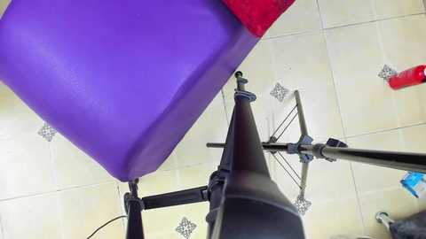 playhardcouple @ stripchat on 20250902