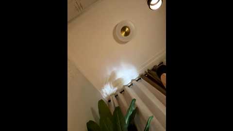 lisaneverdie @ stripchat on 20250903