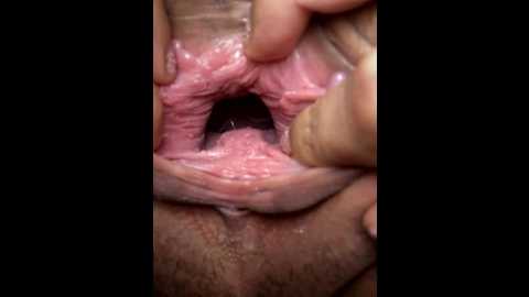 anne_robert @ stripchat on 20250904