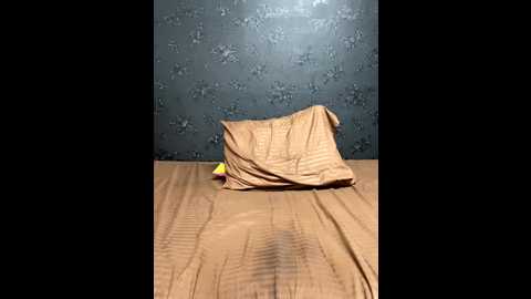 shenaya_4u