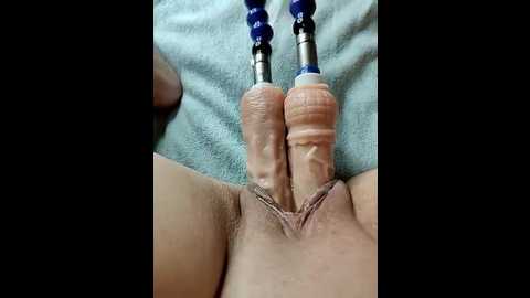 lola_hale @ stripchat on 20250905