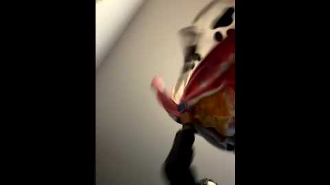 alannaevons @ stripchat on 20250906