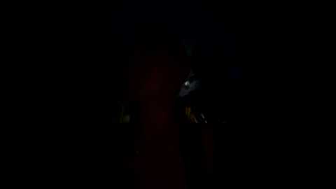 kiss_avrora_
