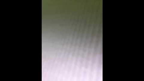 alana15