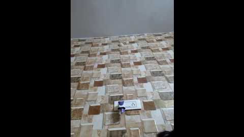 queen_aditi @ stripchat on 20250907