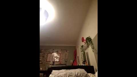 katielace @ stripchat on 20250908