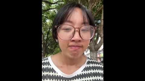xiaotian88