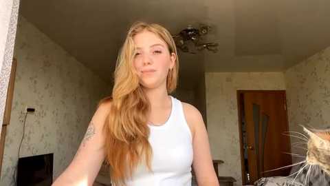 reserved_mull @ stripchat on 20250909