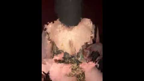 roovaan_xx @ stripchat on 20250909