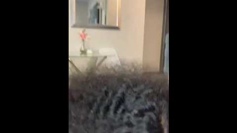 curvydesire1 @ stripchat on 20250911