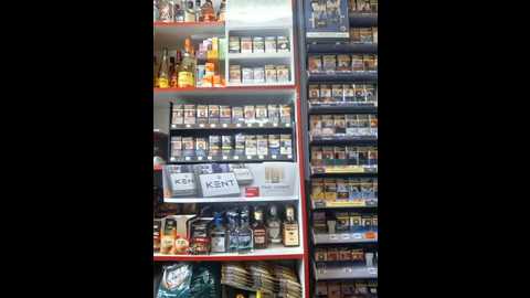 fluturas2 @ stripchat on 20250911