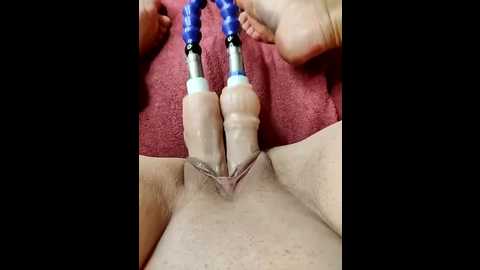 lola_hale @ stripchat on 20250911