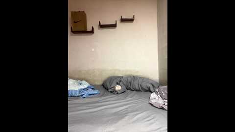 roman_and_jessie @ stripchat on 20250911