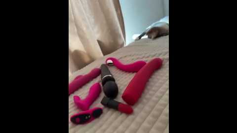 cutefatima @ stripchat on 20250912