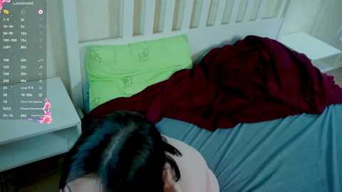 ireneplamer @ stripchat on 20250912