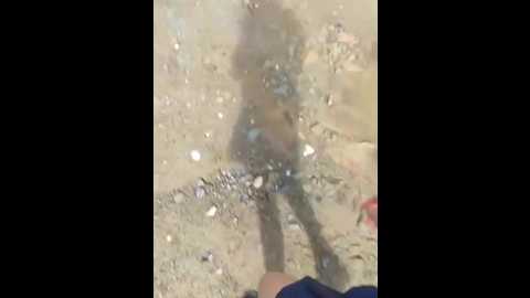 shaoshao_7758 @ stripchat on 20250912