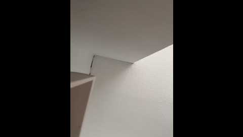 elliemaexoxo @ stripchat on 20250913