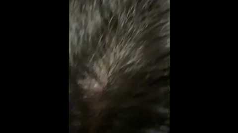 emmablog @ stripchat on 20250913