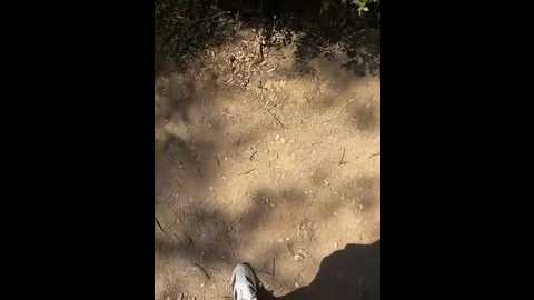 monikaas @ stripchat on 20250913