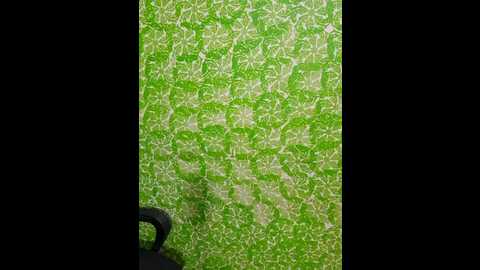 rashmi_pathak @ stripchat on 20250913